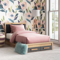 Shop Kids Beds